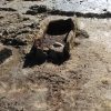 Comienzan las excavaciones en las cistas de Punta Riasón, en la Illa de Arousa Comienzan las excavaciones en las cistas de Punta Riasón, en la Illa de Arousa