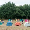 A Cidade da Cultura convida a rapaces e rapazas de entre 10 e 13 anos a participar un ano máis na súa actividade de verán Unha noite no Bosque A Cidade da Cultura convida a rapaces e rapazas de entre 10 e 13 anos a participar un ano máis na súa actividade de verán Unha noite no Bosque