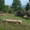 El Parque Arqueolóxico de Campo Lameiro acoge una muestra sobre el más importante conjunto de arte rupestre paleolítica al aire libre de la península ibérica