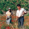 O documental forma parte das actividades conmemorativas do vixésimo quinto aniversario da estrea das tres primeiras longametraxes de ficción: Sempre Xonxa, Continental e Urxa