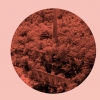 Monumenta Monumenta
