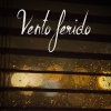 Cartel da miniserie Vento ferido