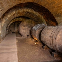 Museo del Vino de Galicia (Ribadavia). Bodega de Santo André