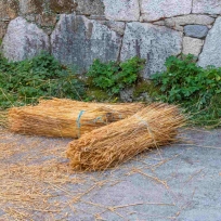 Pallozas de Piornedo (Cervantes). Haces de centeno para rehacer una palloza