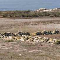 Archipiélago de Sálvora (Ribeira). Restos de un antiguo vallado de piedra seca