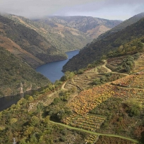 Cañones del Sil