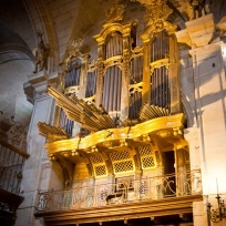 Rondas por el paisaje organística gallego
