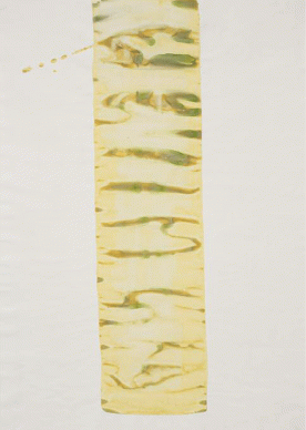 Obra de Berta Cáccamo