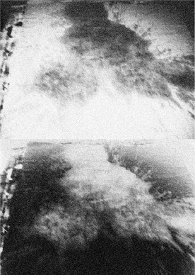 Obra de Berta Cáccamo