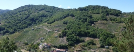 El camino de invierno es una ruta ya descubierta por los romanos, siguiendo las cuotas bajas de la cuenca del río Sil. Desde Ponferrada (León), pasaban por la Ribeira Sacra y las tierras pontevedresas del Deza, donde se unían con la ruta del Sureste hasta Santiago El camino de invierno es una ruta ya descubierta por los romanos, siguiendo las cuotas bajas de la cuenca del río Sil. Desde Ponferrada (León), pasaban por la Ribeira Sacra y las tierras pontevedresas del Deza, donde se unían con la ruta del Sureste hasta Santiago