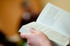 Feiras do Libro de Galicia | Viveiro