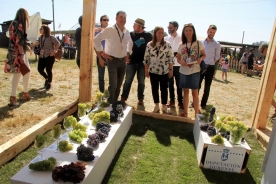 festivaldelaluz2018