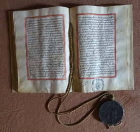 Imagen de la muestra