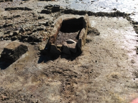 Comienzan las excavaciones en las cistas de Punta Riasón, en la Illa de Arousa