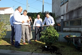El conselleiro de Cultura participó en los actos de celebración del Día de Rosalía con motivo del 181 aniversario de su nacimiento, con la plantación simbólica de una camelia en su Casa da Matanza