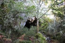 Imagen de la cueva