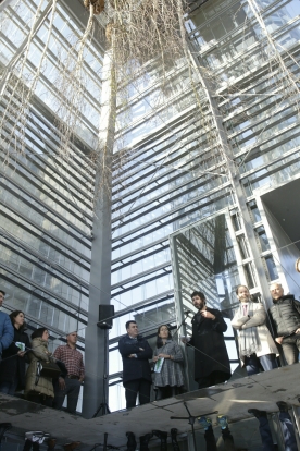 La Cidade da Cultura de Galicia inauguró hoy, coincidiendo con la celebración del Día del Árbol, Betula Pendula, una intervención paisajística con abedules en las Torres Hejduk