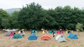 A Cidade da Cultura convida a rapaces e rapazas de entre 10 e 13 anos a participar un ano máis na súa actividade de verán Unha noite no Bosque