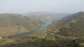 Parque Arqueolóxico de Campo Lameiro 
