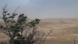CGAI-Filmoteca de Galicia