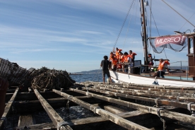 Singradura didáctica pola ría Singradura didáctica pola ría