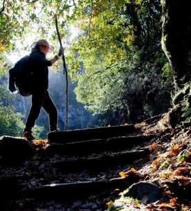 Camino de Santiago