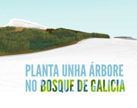 As familias poden ser parte do Bosque de Galicia plantando árbores nas ladeiras do Gaiás