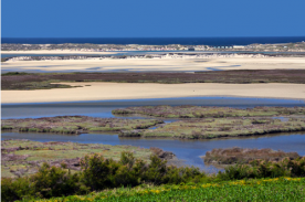 Razo-Baldaio nas Sendas do Mar / Foto Turismo de Carballo 