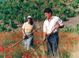 O documental forma parte das actividades conmemorativas do vixésimo quinto aniversario da estrea das tres primeiras longametraxes de ficción: Sempre Xonxa, Continental e Urxa