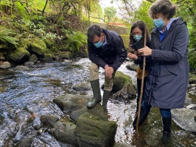 A Xunta de Galicia realiza unha actuación de urxencia para recuperar do río Sar a talla dunha posible virxe gótica
